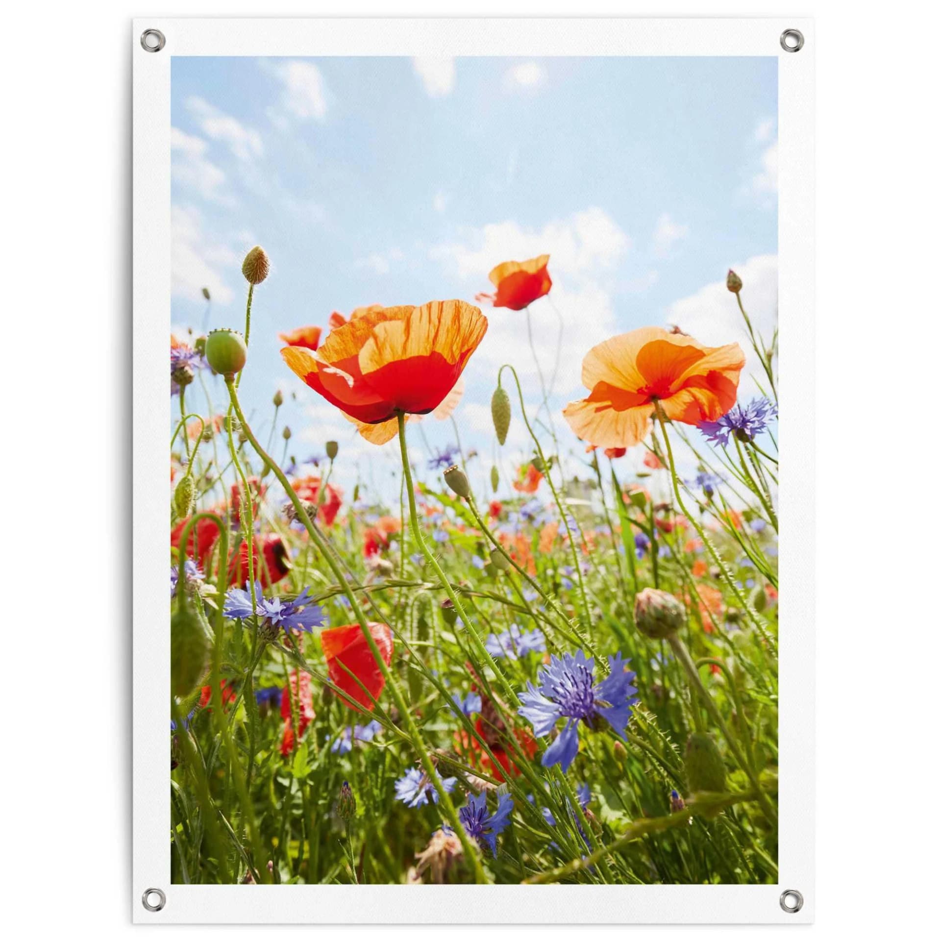 REINDERS Blumenfeld Poster Bunt Outdoor Leinwand