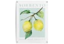Poster REINDERS Lemon Portrait Gelb Bild 2