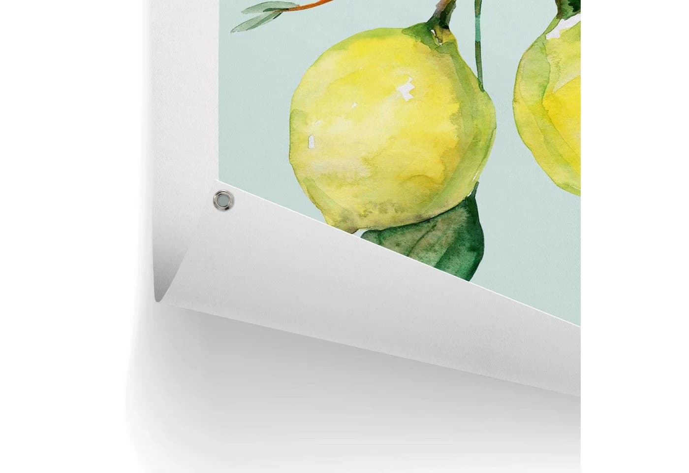 Poster REINDERS Lemon Portrait Gelb - Bild 4