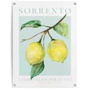 Poster REINDERS Lemon Portrait Gelb Bild 5