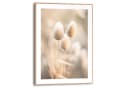 Reinders! Poster Plumes Wohnzimmer Grasfedern Beige MDF Blumen und Pflanzen Bild 2