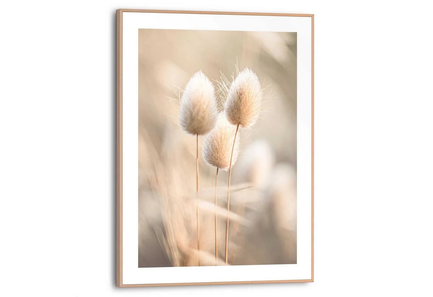 Reinders! Poster Plumes Wohnzimmer Grasfedern Beige MDF Blumen und Pflanzen - Bild 2