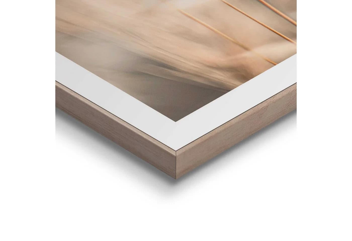 Reinders! Poster Plumes Wohnzimmer Grasfedern Beige MDF Blumen und Pflanzen - Bild 4
