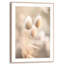 Reinders! Poster Plumes Wohnzimmer Grasfedern Beige MDF Blumen und Pflanzen Bild 5