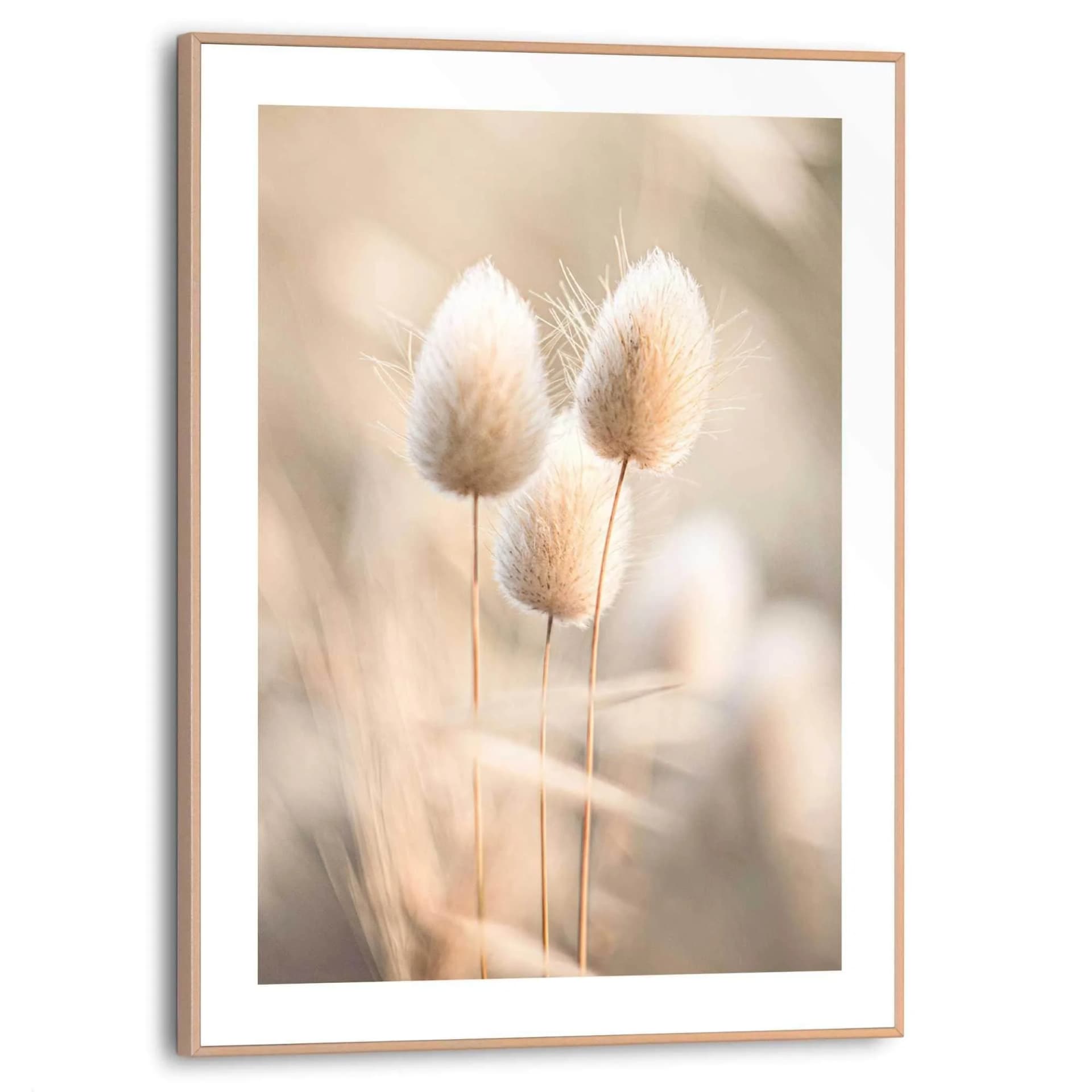 Reinders! Poster Plumes Wohnzimmer Grasfedern Beige MDF Blumen und Pflanzen - Bild 5