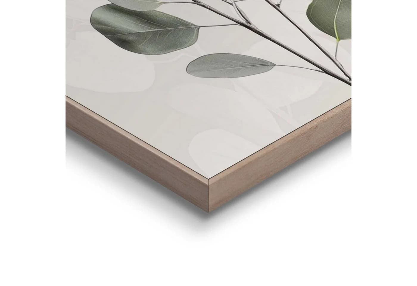 REINDERS Poster Eucalyptus Zweig Grün Wanddekoration - Bild 4