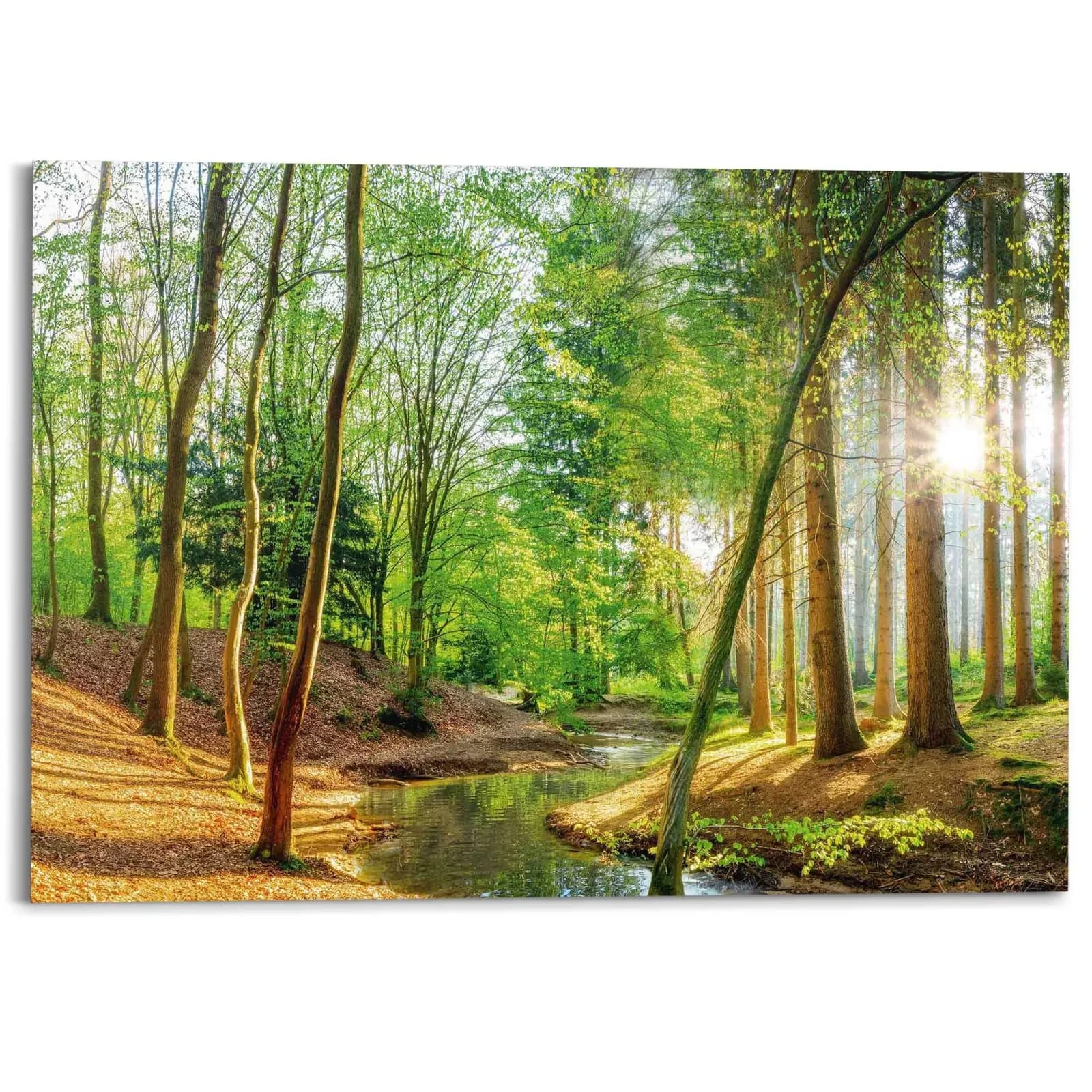 Reinders! Deco-Panel Sonniger Wald Grün MDF