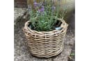 Van der Leeden Pflanzkorb Rattan Braun Indoor Outdoor Bild 4