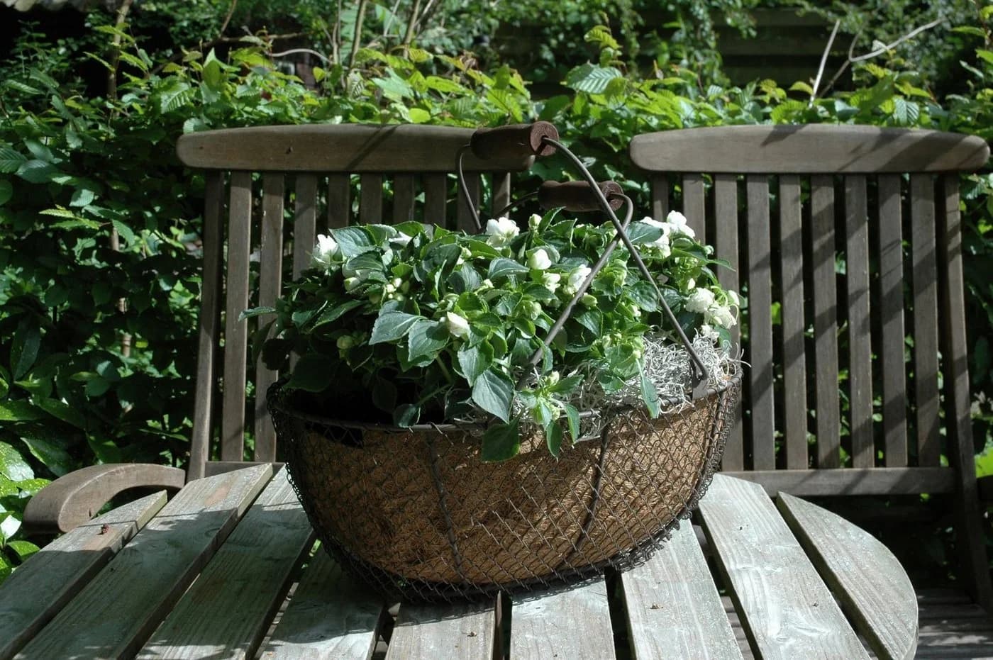 esschert design Dekokorb Gartenhelfer Drahtkorb antikbraun