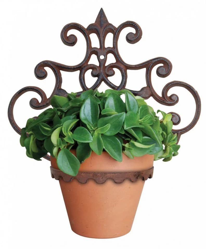 esschert design Blumentopfhalter Wandhalterung braun-patiniert Gusseisen
