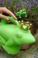 Esschert Design Gießkanne Froschkönig Grün/Gold Kunststoff Bild 3
