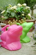 Esschert Design Gießkanne Froschkönig Grün/Gold Kunststoff Bild 4