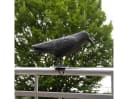 Esschert Design Vogelschreck Krähe Schwarz Wetterfest Bild 5