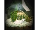 Esschert Design Terrarium 3L DIY Pflanzgefäß mit Erde & Steinen Bild 1