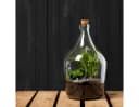 Esschert Design Terrarium 3L DIY Pflanzgefäß mit Erde & Steinen Bild 3