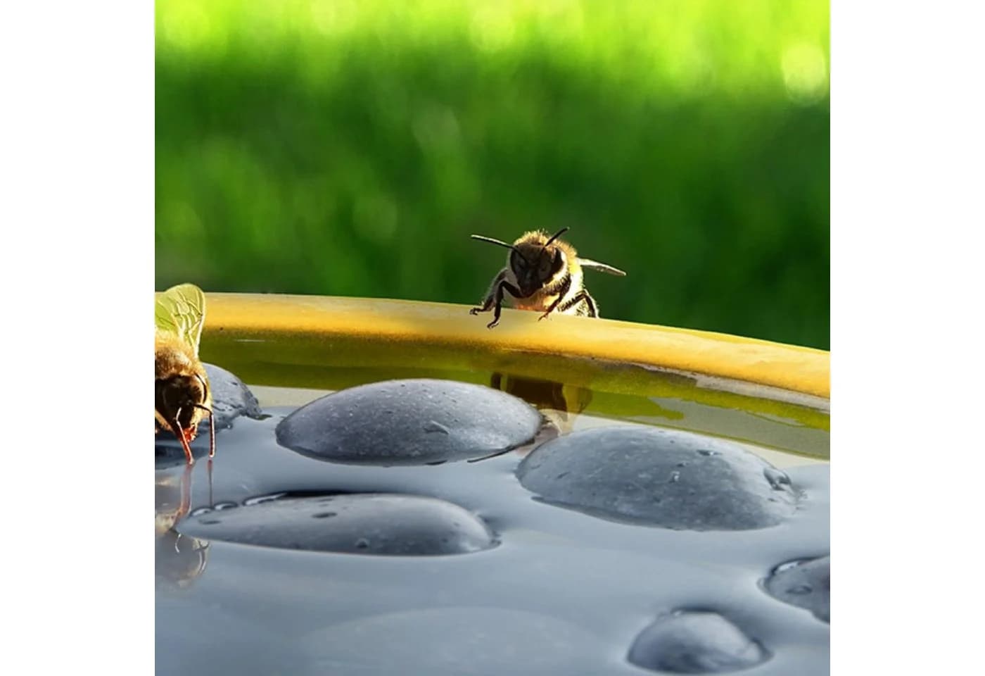 esschert design Vogeltränke Bienen & Schmetterlinge Gelb 27cm