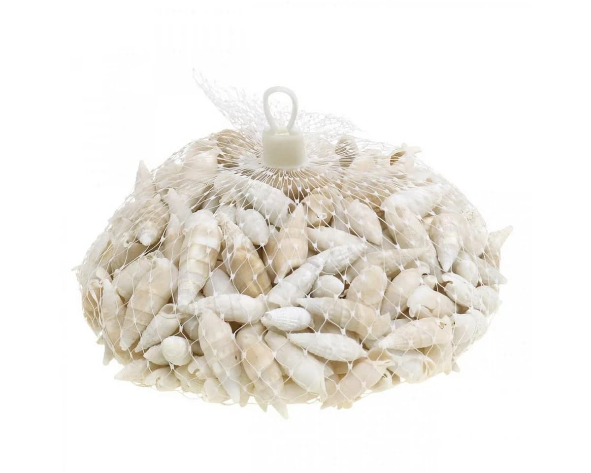 Viana Deko Schnecken Weiß Natur 2-5cm 1kg Muschelkalk - Bild 3