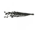 Viana Schwarze Trockenblume Erdbeerdistel Deko 65 cm Bild 3
