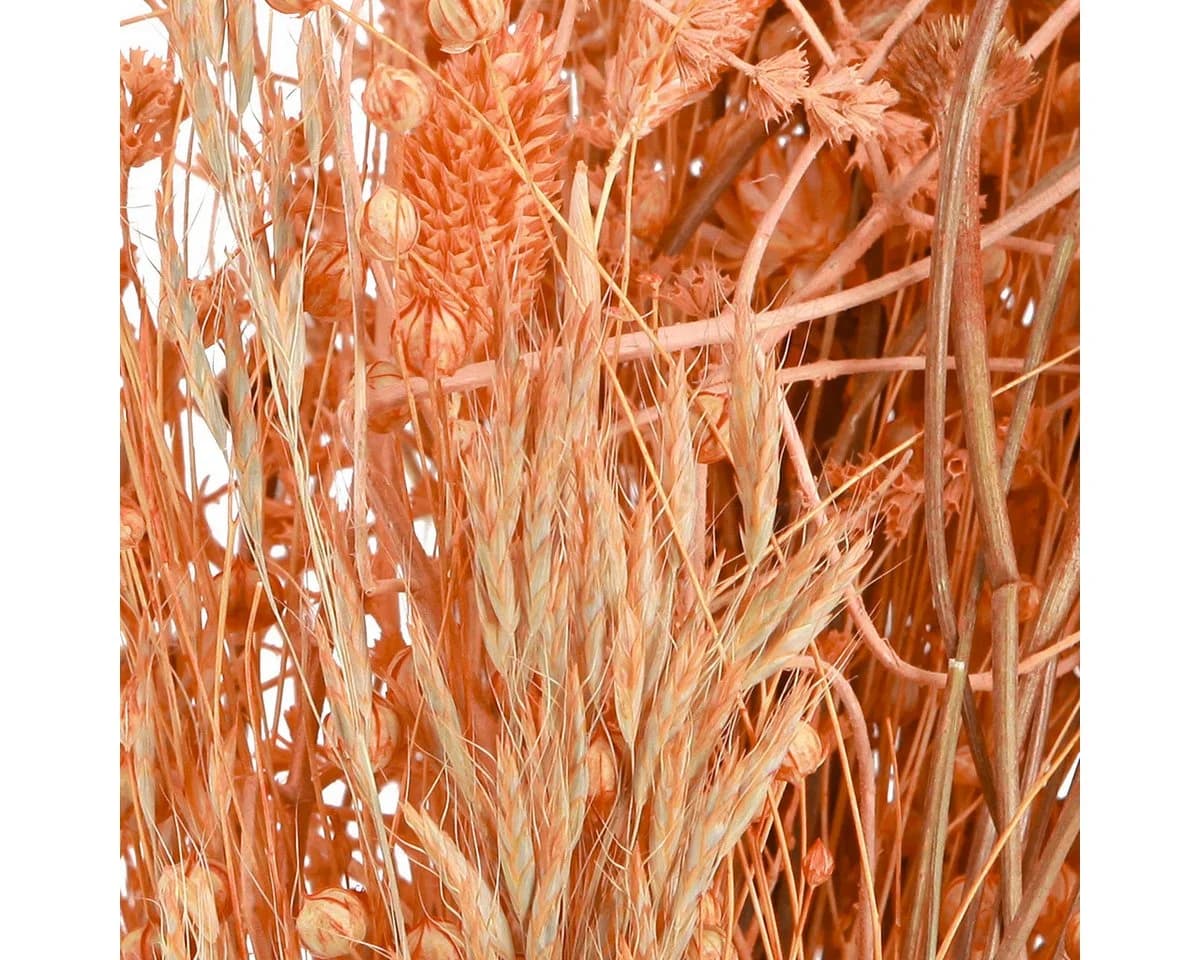 Viana Trockenblumenstrauß Orange Apricot Boho Deko