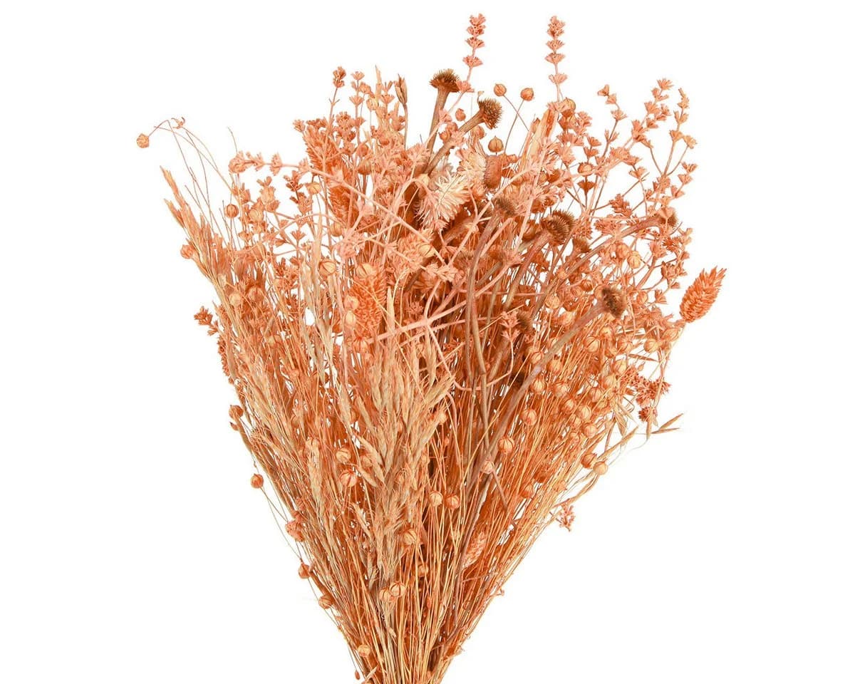Viana Trockenblumenstrauß Orange Apricot Boho Deko - Bild 2