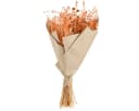 Viana Trockenblumenstrauß Orange Apricot Boho Deko Bild 3