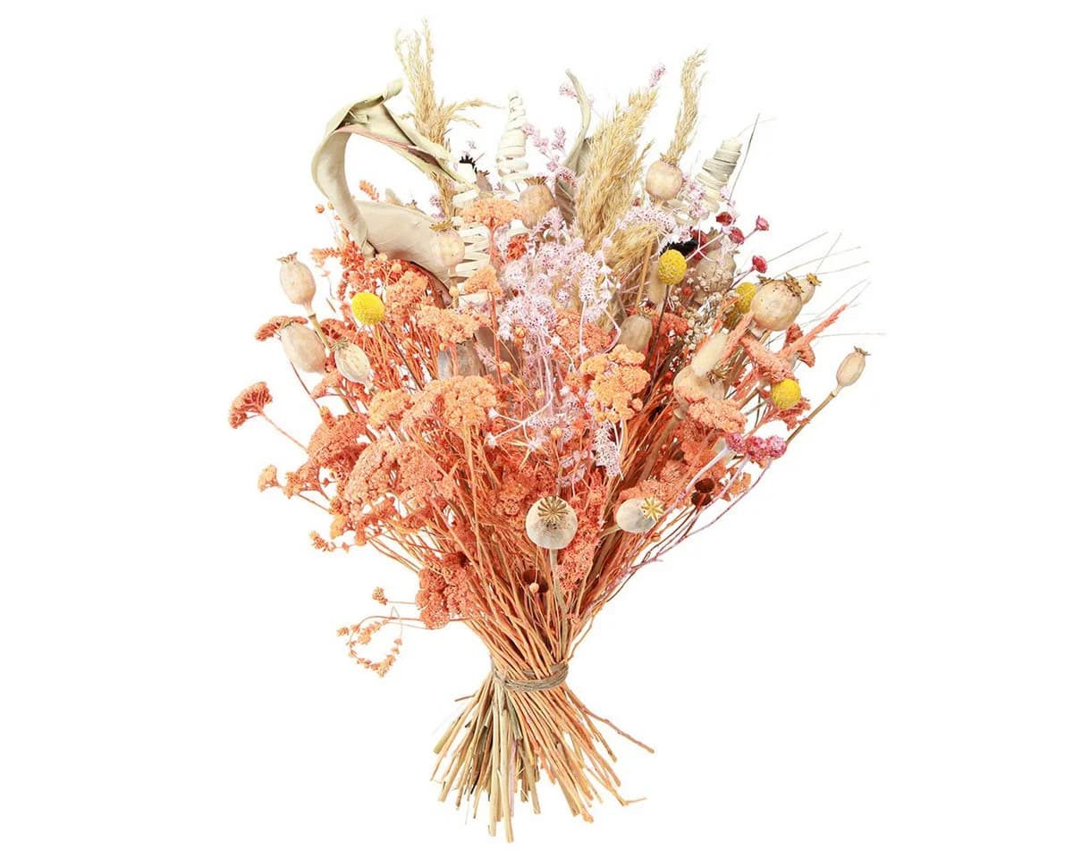 Viana Trockenblumenstrauß Orange Apricot Boho Deko - Bild 4
