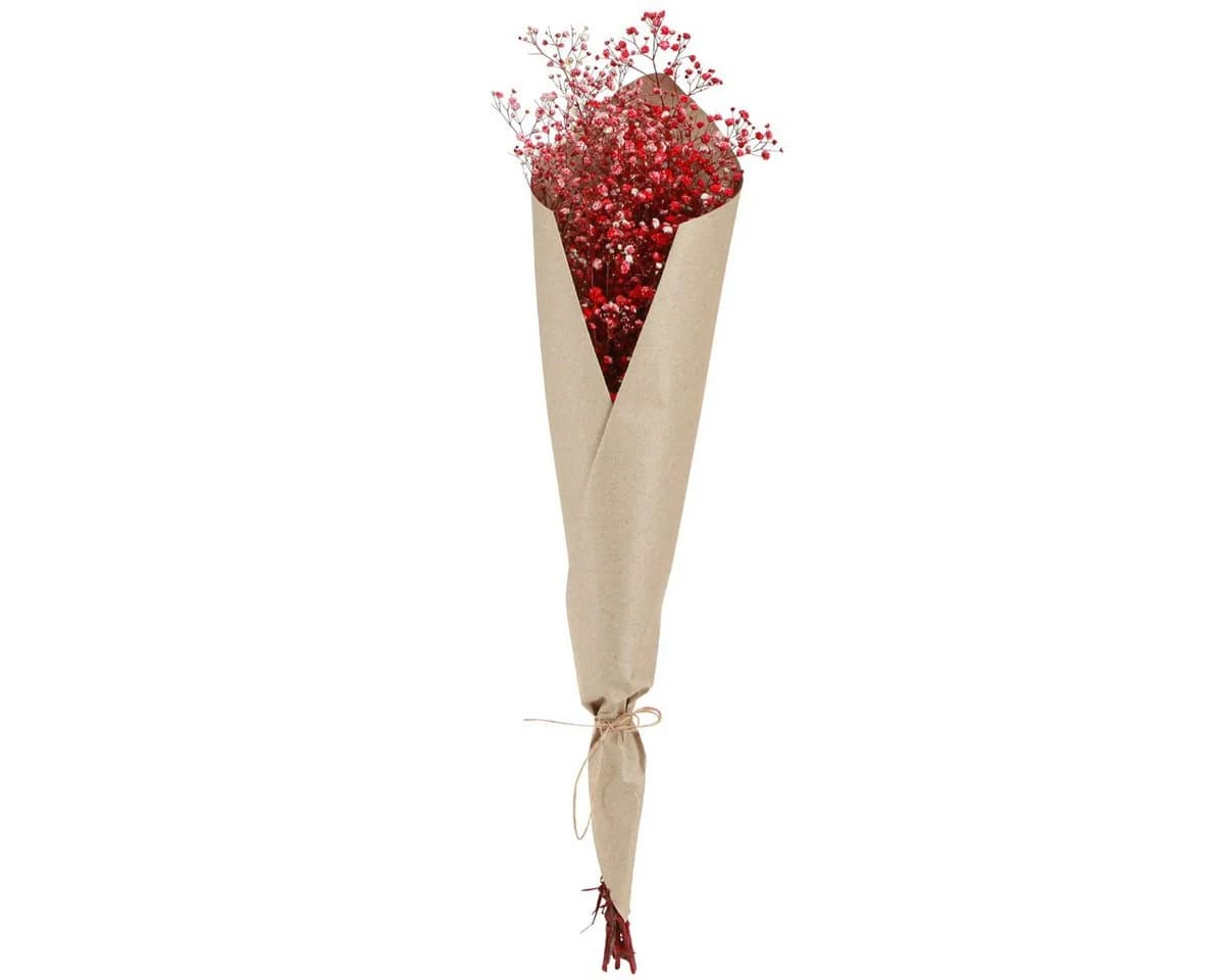 Viana Trockenblume Schleierkraut Rot 50cm - Bild 3