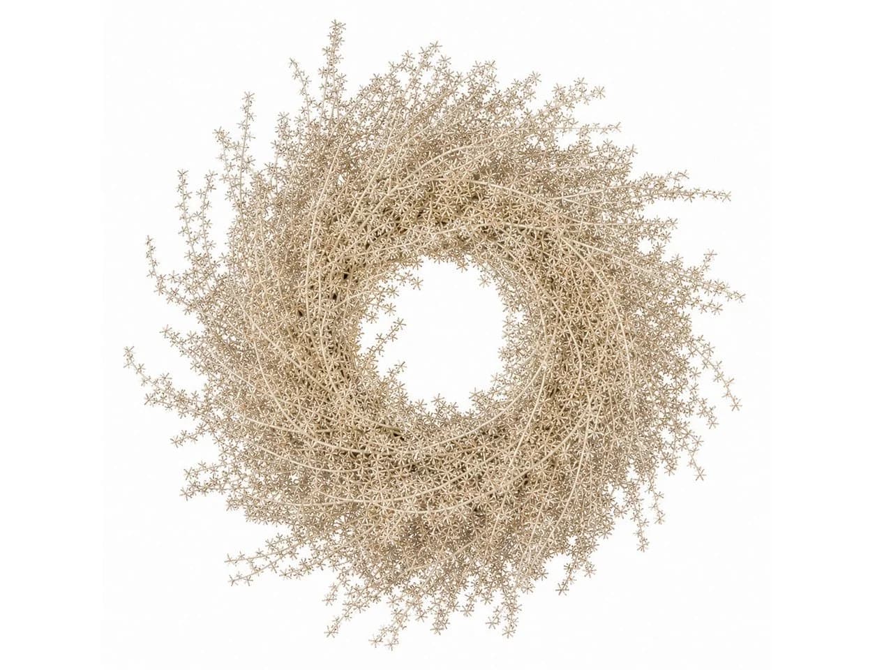 finehomegarden Dekokranz Asparagus Ø35cm Platin Herbstdeko - Bild 2