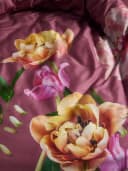 ESSENZA Bettwäsche Eloise Satin 2-teilig Rosa Floral Bild 4