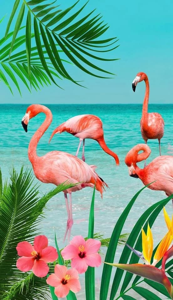 Good Morning Strandtuch Flamingo Velours-Frottier Blau-Türkis - Bild 2