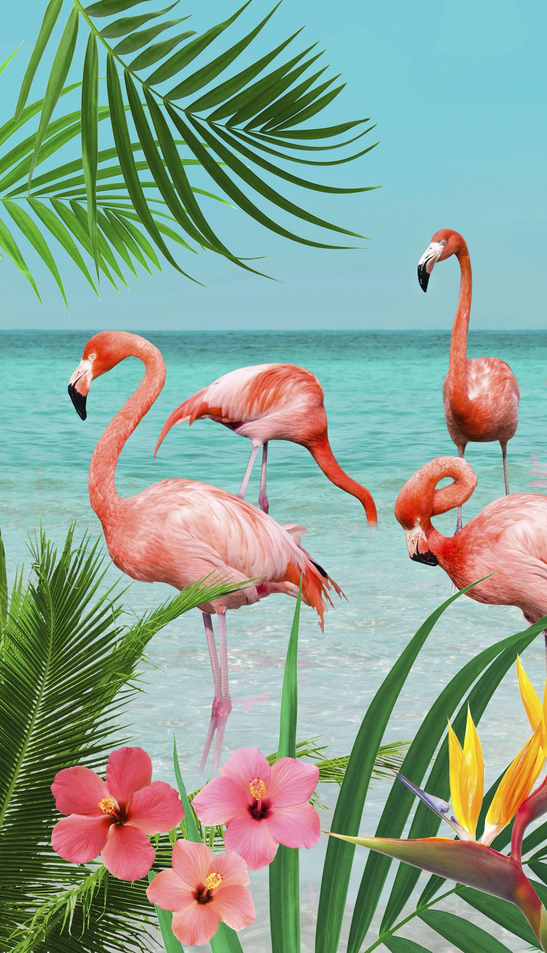 Good Morning Strandtuch Flamingo Velours-Frottier Blau-Türkis - Bild 5
