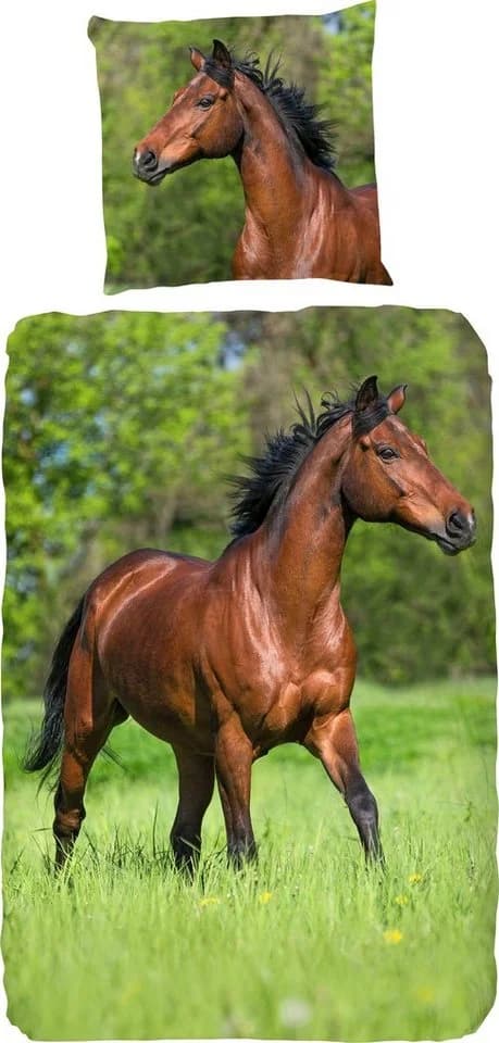 good morning Kinderbettwäsche Running horse Renforcé 2-teilig Baumwolle