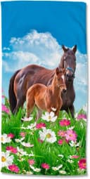 Good Morning Kinderstrandtuch Dora Bunt Microfaser Bild 2