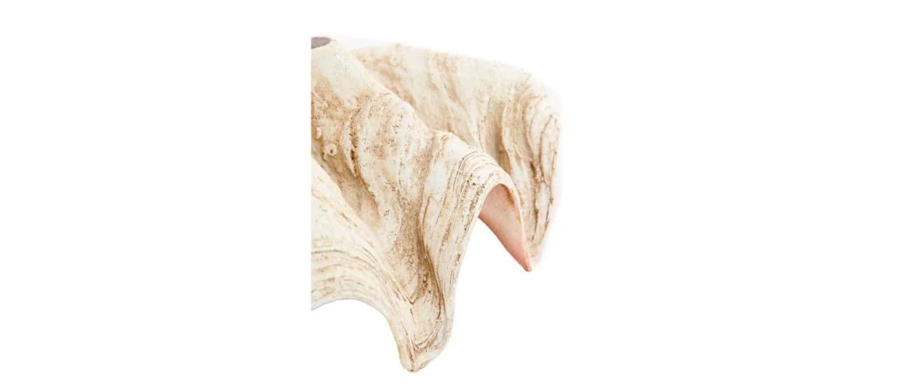 Light & Living Dekofigur Muschel Schale Beige