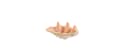Light & Living Dekofigur Muschel Schale Beige Bild 2