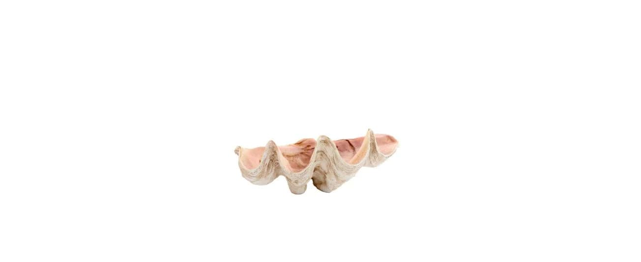 Light & Living Dekofigur Muschel Schale Beige - Bild 5
