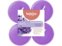 Bolsius Duftteelichter Maxi Lavendel, Höhe 1,17 cm, Ø 4,5 cm, 6er Pack Bild 1