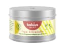 Bolsius Citronella Duftkerze in Metalldose Bild 1