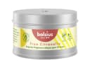 Bolsius Citronella Duftkerze in Metalldose Bild 2