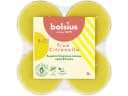 Bolsius Maxi-Lichte Citronella 8er Pack Duftkerze Bild 2