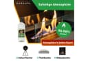 XARALYN Bioethanol CL100 12x1L - Geruchsneutral & Sicherer Verschluss Bild 1