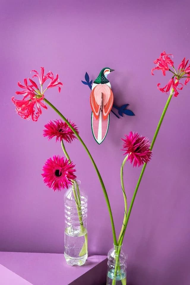studio ROOF Wanddekoobjekt Paradise Bird - Rani 3D-Wandobjekt