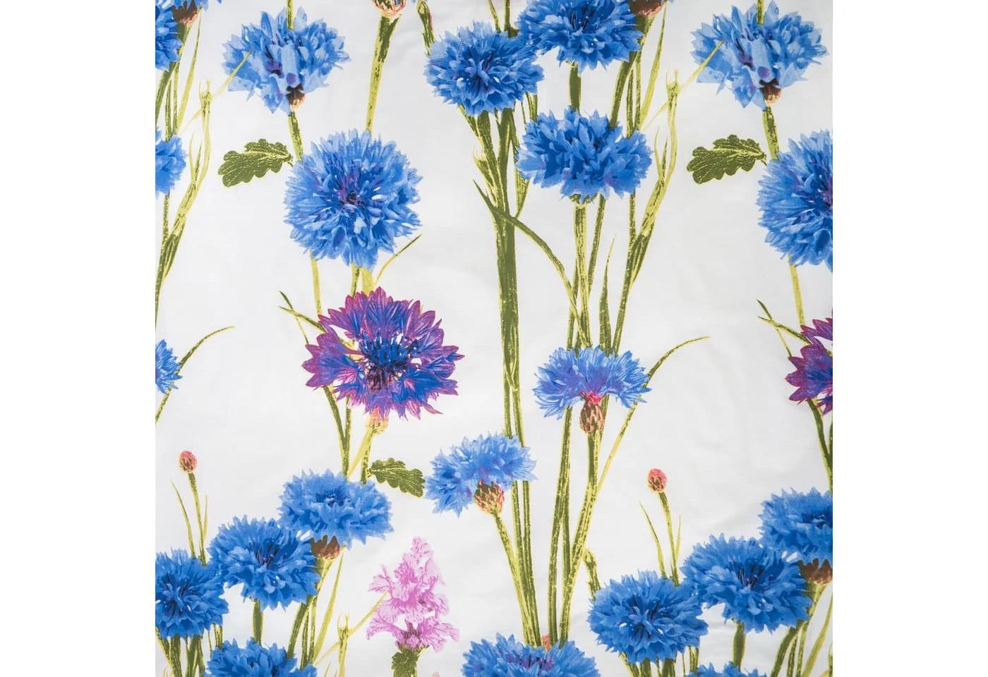 ZO HOME Bettwäsche Renforcé 2-teilig Blau/Weiß Kornblumen - Bild 5