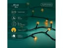 Lumineo LED-Lichterkette BASIC 40 LED Schwarz Dimmbar IP44 Bild 1