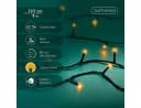 Lumineo LED-Lichterkette BASIC 120 LED 9 m klassisch warm, schwarzes Kabel, Indoor/Outdoor, dimmbar, 8h-Timer, + 5 m Zuleitung Bild 1