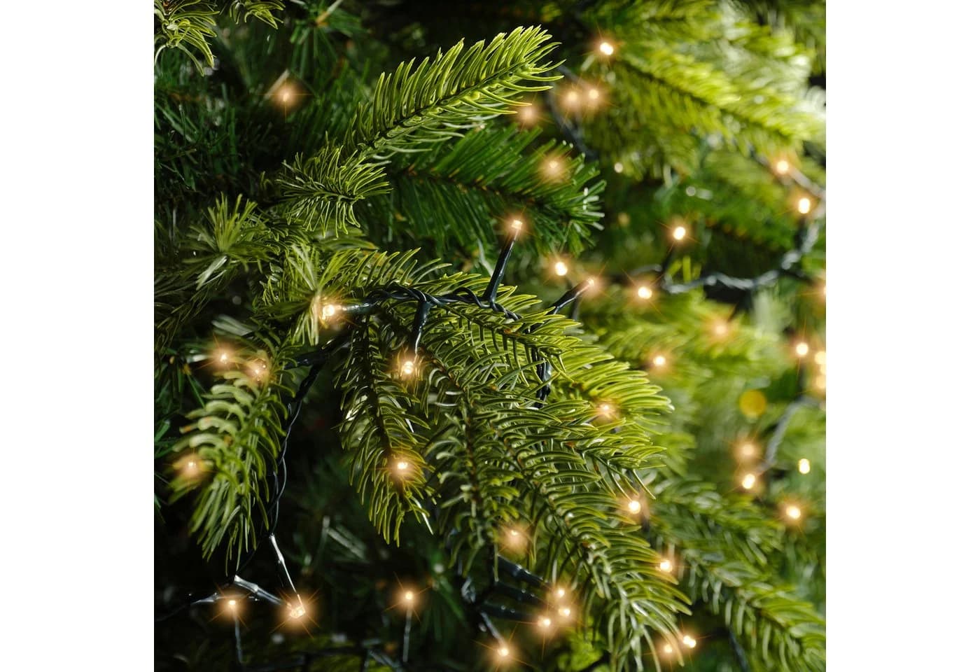 Lumineo LED-Lichterkette 1-2 Glow Compact 400 LED 1,5 m klassisch warm, 8h-Timer, dimmbar, Indoor, Outdoor, 5 Stränge - Bild 5
