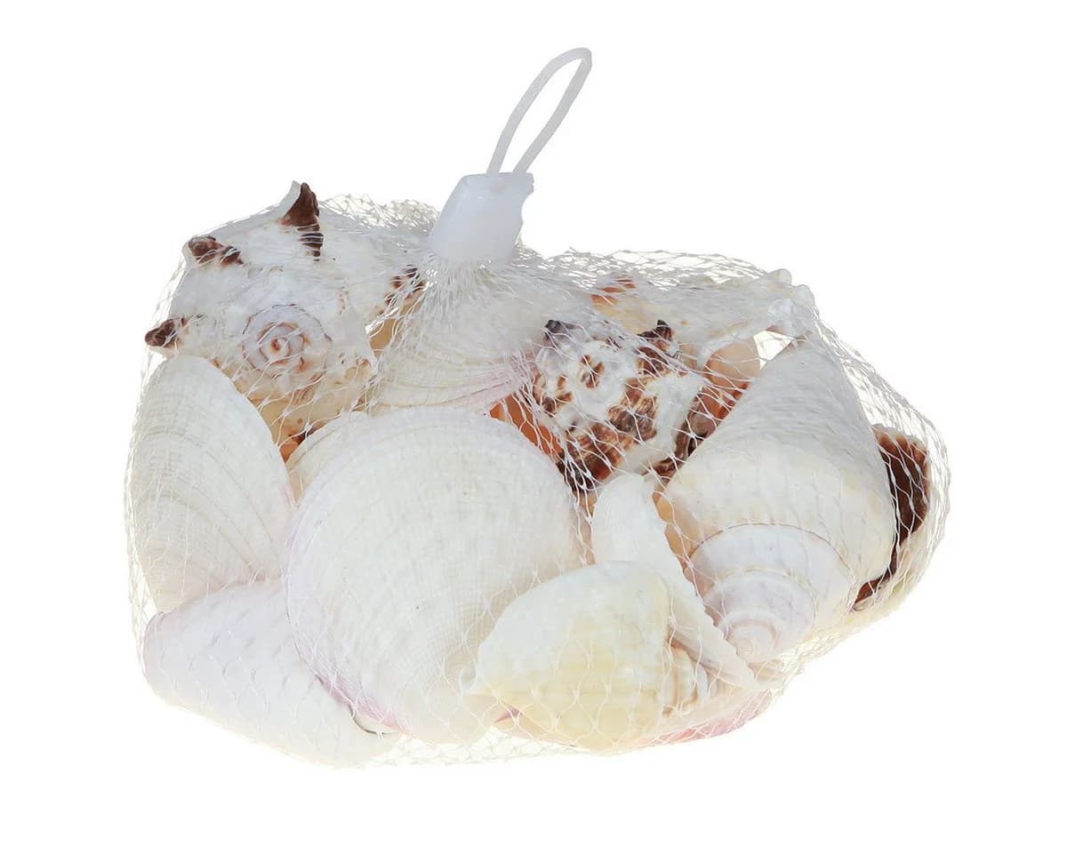 Kaemingk Muschelmix Maritime Deko Natur - Bild 3