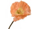Silk-ka Künstliche Zimmerpflanze Mohn Orange 63cm Bild 2