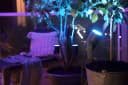 Philips Hue Lily Spot 3-flg. Schwarz Smarte LED-Gartenleuchte Bild 1