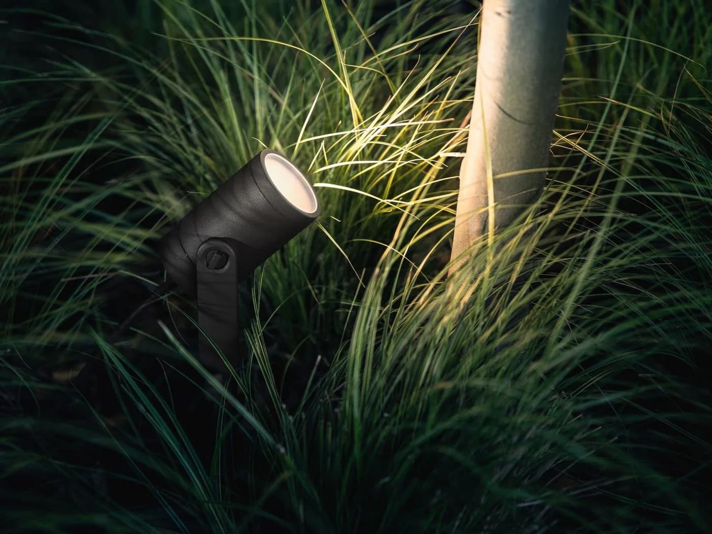 Philips Hue Lily White & Color Ambiance Gartenspot Schwarz